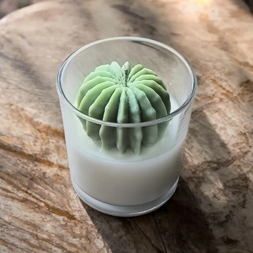 świeca sojowa kaktus oyka candle.webp