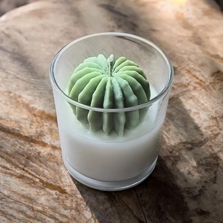 świeca sojowa kaktus oyka candle.webp