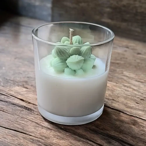 świeca sojowa w szkle kaktus oyka candle.webp