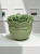 oyka candle linia botanic kwiat.png